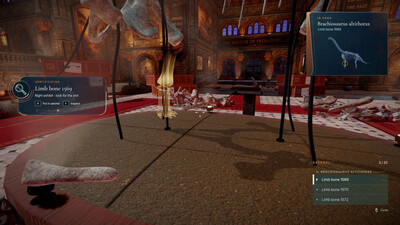 четвертый скриншот из DinoBones: Tidy Up the Museum
