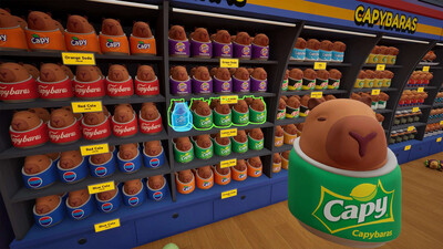 первый скриншот из Sort The Capybaras