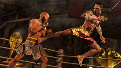 четвертый скриншот из EA Sports UFC 4